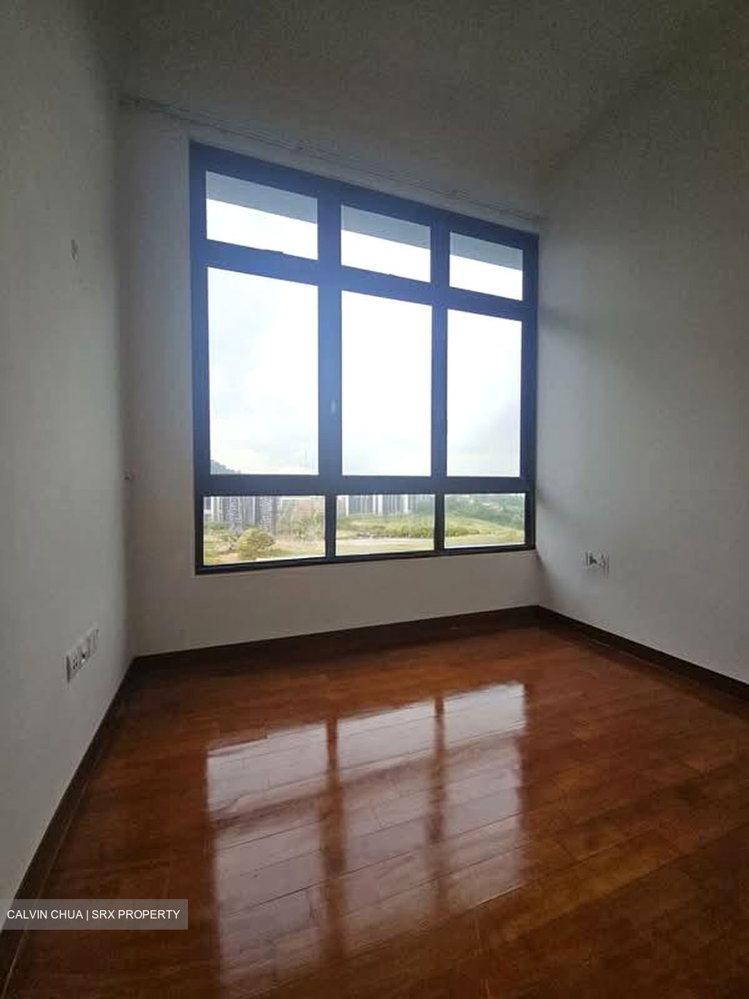 Eco Sanctuary (D23), Condominium #566686611